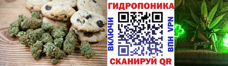 Canna-Cookies конопля  нарко площадка формула  Михайловка  где купить наркотик 