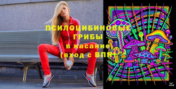 герыч Ладушкин