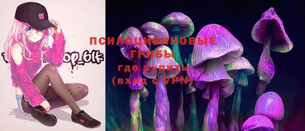 герыч Ладушкин
