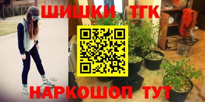 эйфоретик Аргун