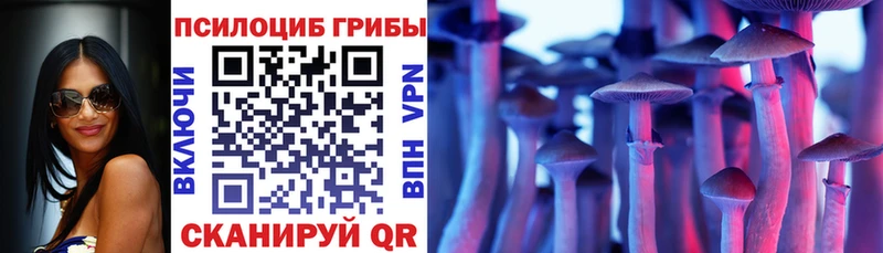 даркнет сайт  Михайловка  Галлюциногенные грибы MAGIC MUSHROOMS 