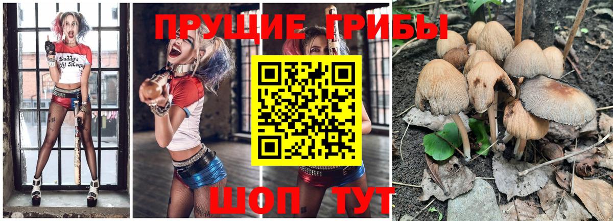 Галлюциногенные грибы Magic Shrooms  Вход с VPN  Псилоцибиновые грибы GOLDEN TEACHER  Михайловка 
