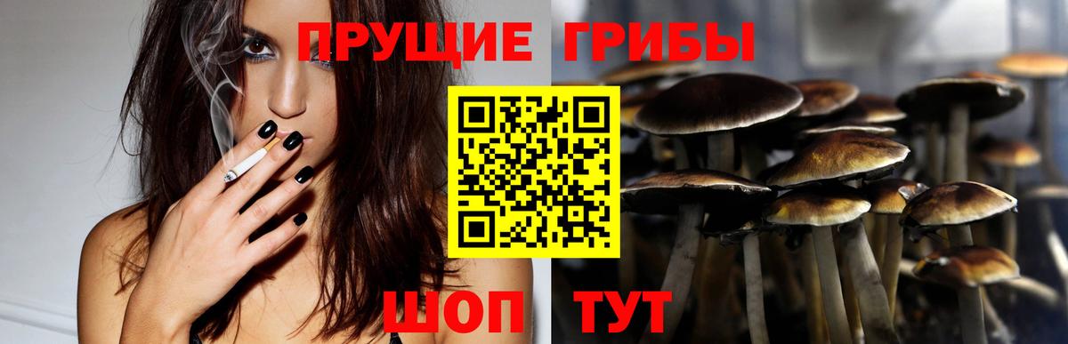 Псилоцибиновые грибы GOLDEN TEACHER Михайловка